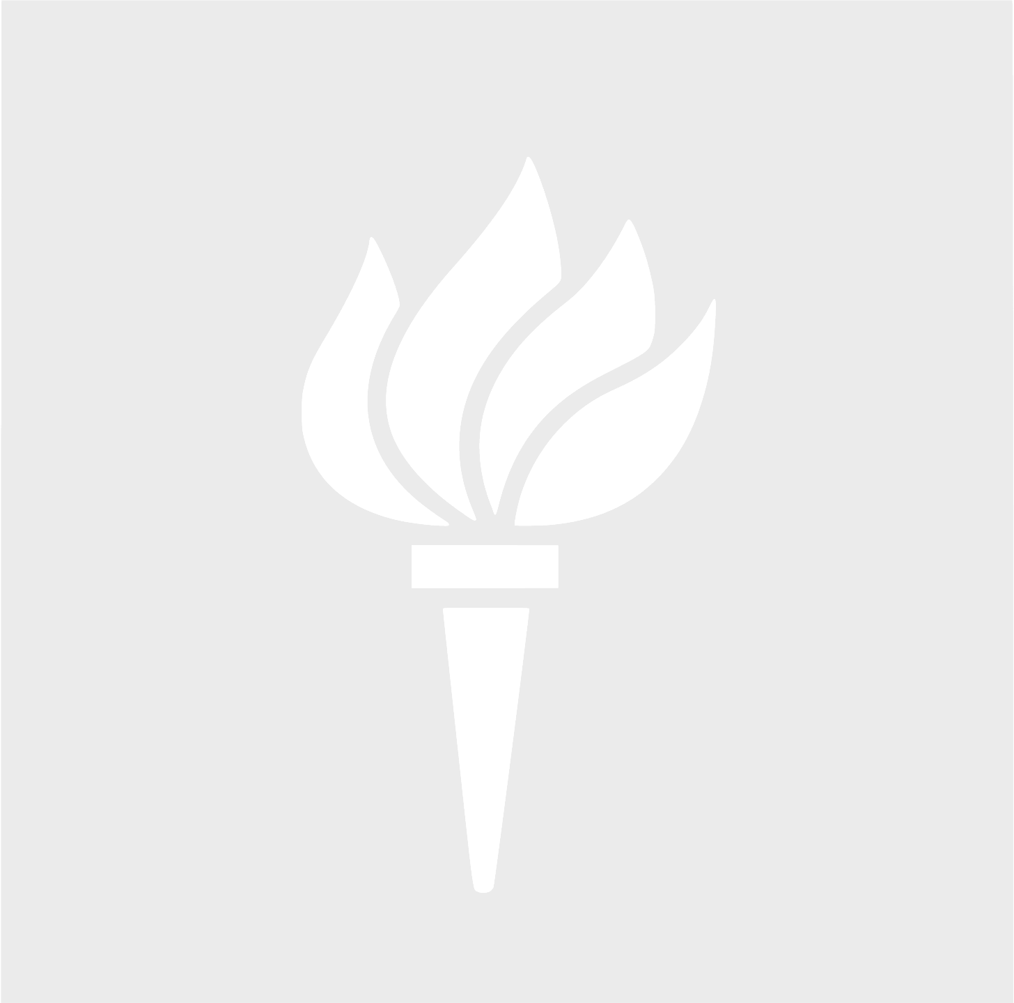 New York University logo